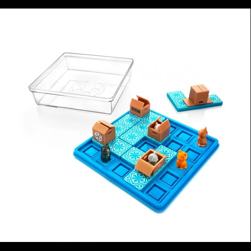 Cats & Boxes - Quick Brain Break
